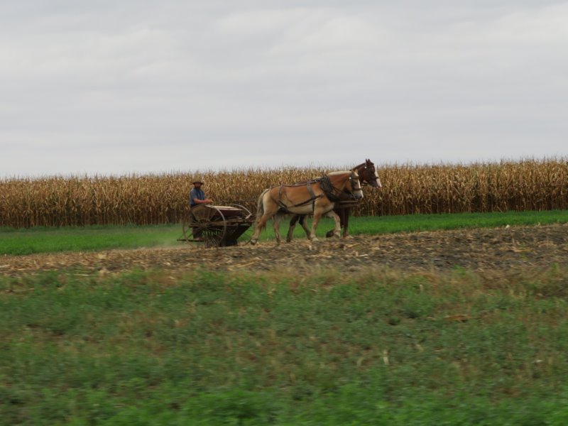 Farming with horse drawn equipment